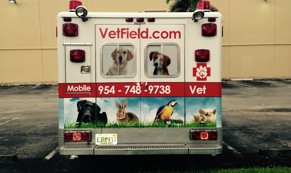 BOYCOTT Vetfield Animal Hospital!! / Do Not Take Chances With Your Pet Or Your Money / Do Not Go To Vetfield Animal Hospital or Dr. Mustafa Saleh or Coral Gables Miami Florida Lawyer Omar Mustafa Saleh